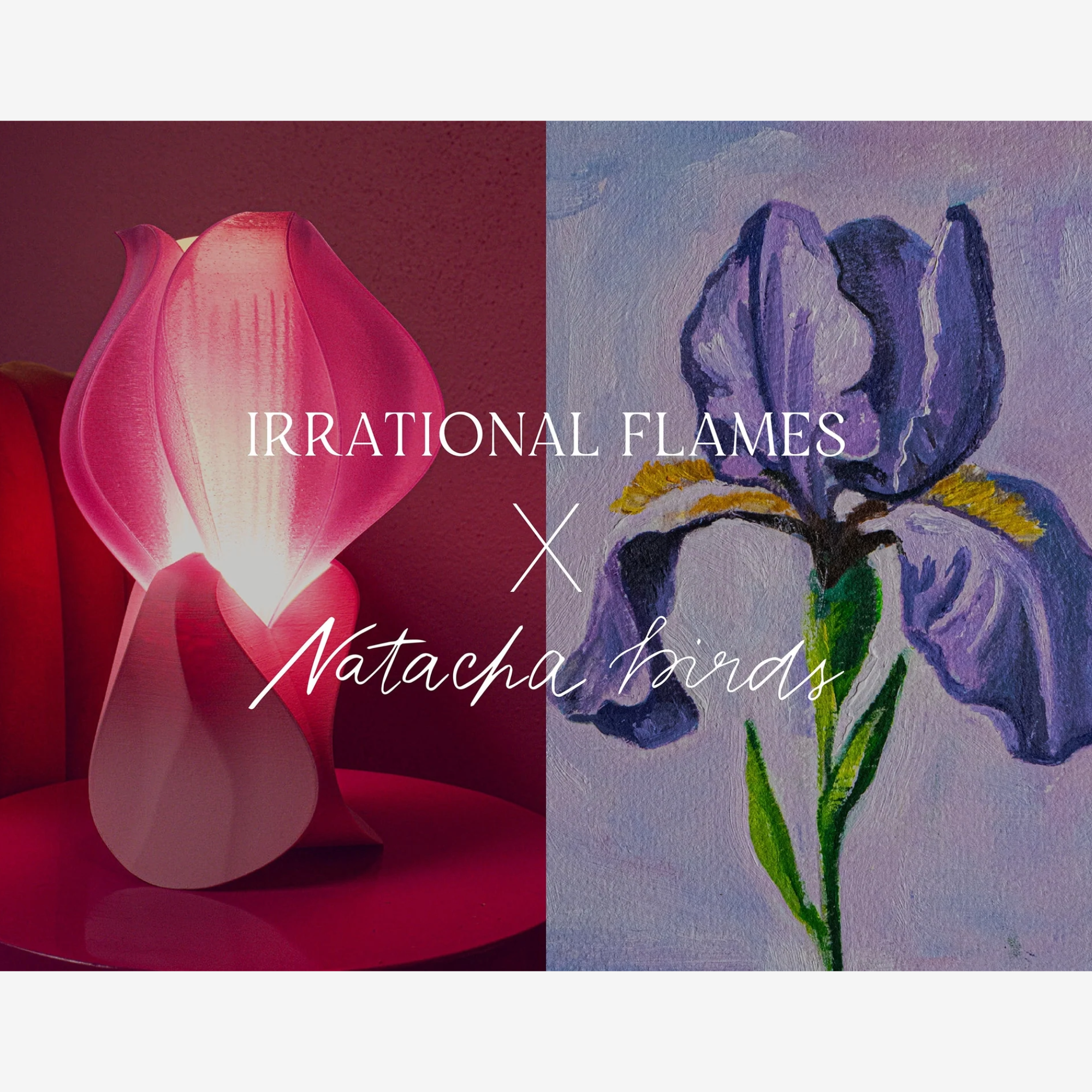 Sans titre-14 Irrational Flames