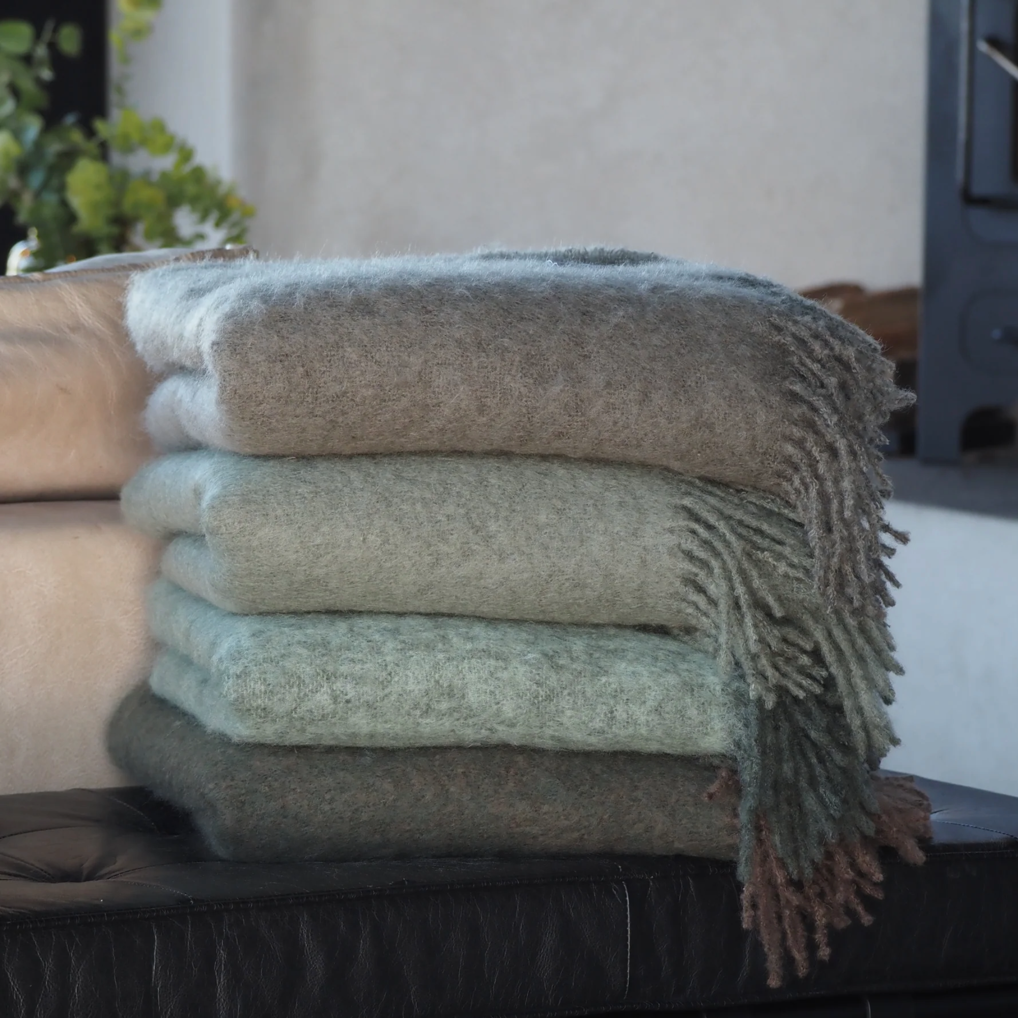 Sans titre-16 Mise en situation Stackelbergs Moss & Green