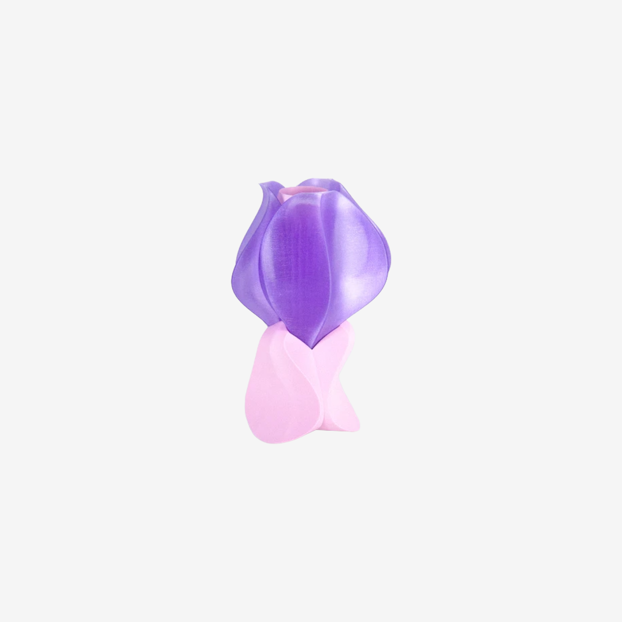 Sans titre-19 Lampe Iris Lamina Mini Rose