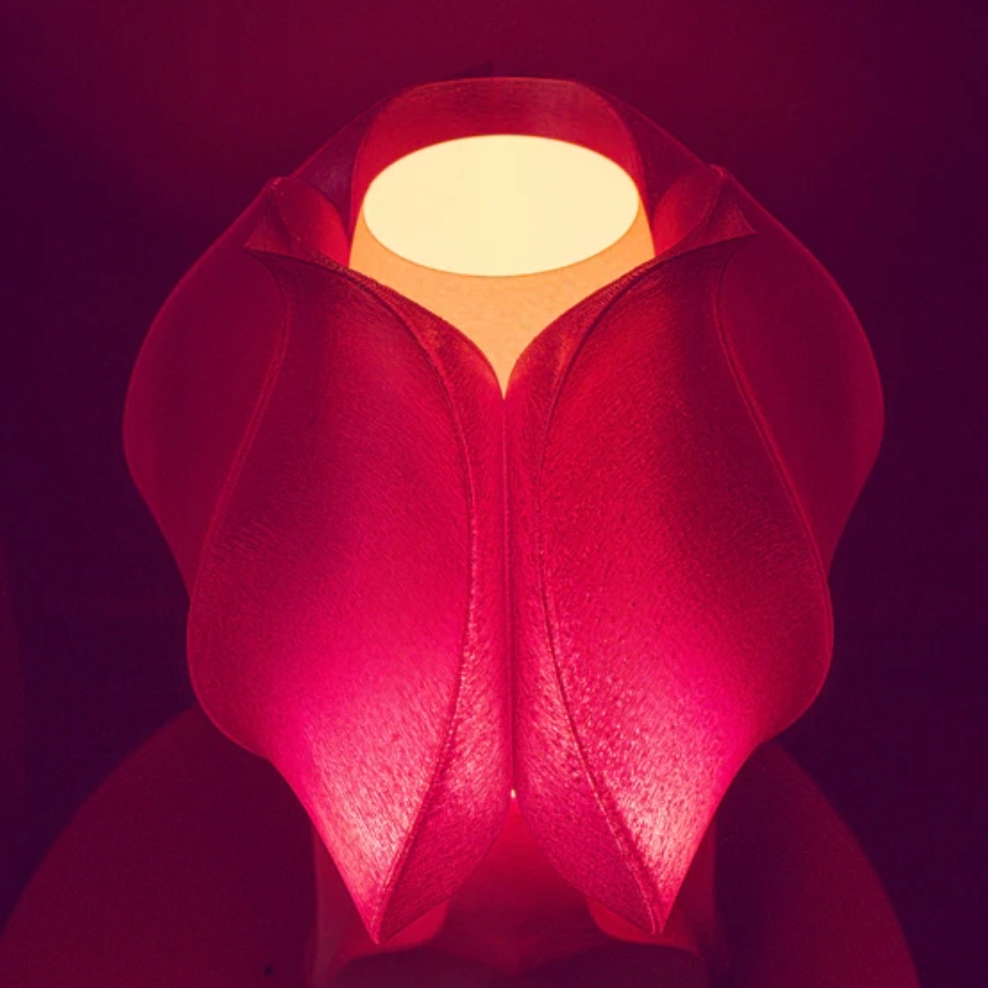 Sans titre-21 Lampe Iris Lamina